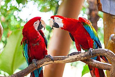 3DM速报：《冰汽时代2》正式公布 《战地2042》“爱尔兰佬”回归